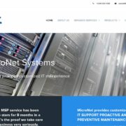 MicroNet Systems